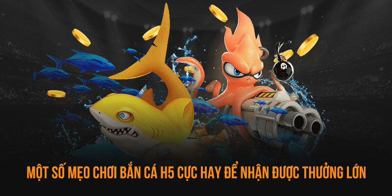Bắn Cá H5 - Chinh Phục Đại Dương Với Kho Báu Giá Trị