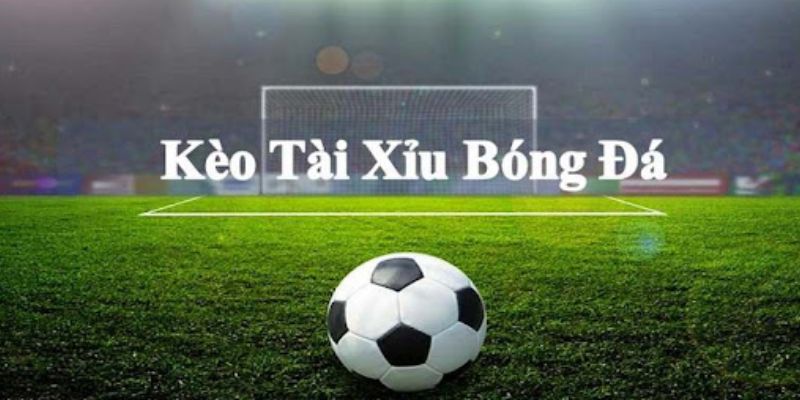 Cách Đọc Kèo Bóng Đá - Điều Cần Biết Dễ Hơn Bạn Nghĩ
