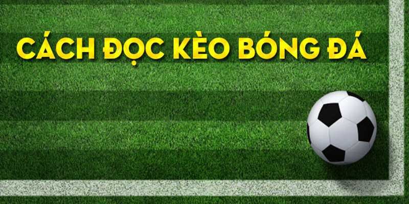 Cách Đọc Kèo Bóng Đá - Điều Cần Biết Dễ Hơn Bạn Nghĩ