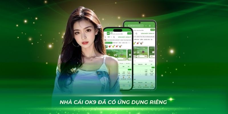 Giấy Phép Hoạt Động Tại Nhà Cái OK9 Mà Bạn Nên Biết