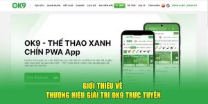 Hướng dẫn OK9 - Chuyên mục chia sẻ chi tiết chơi tại nhà cái