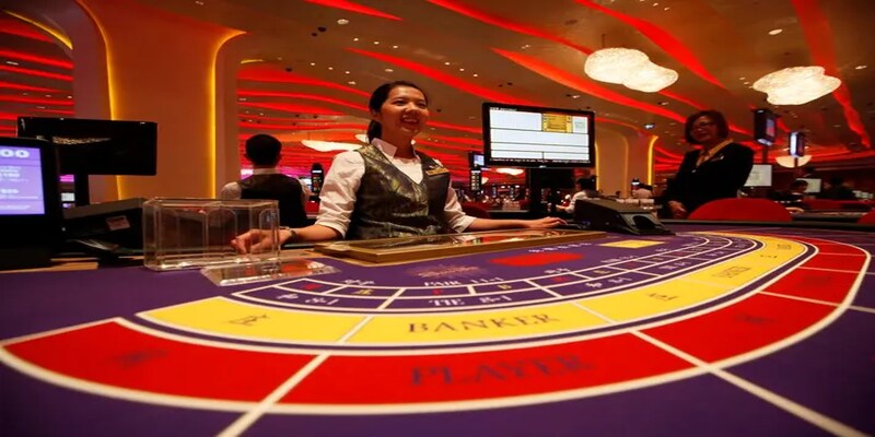 Tool Hack Baccarat- Phao Cứu Sinh Tuyệt Đỉnh Dành Cho Người Chơi