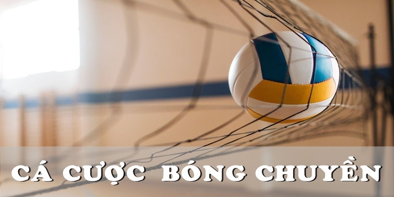 Cá Cược Bóng Chuyền Ok9 Và Những Thông Tin Cần Biết