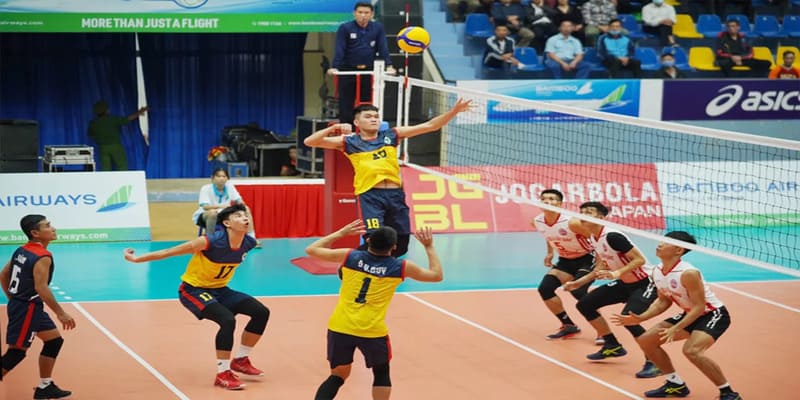 Cá Cược Bóng Chuyền Ok9 Và Những Thông Tin Cần Biết
