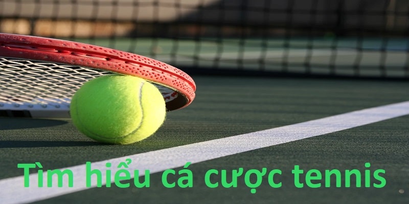 Cá Cược Tennis Tại OK9 - Xu Hướng Cá Cược Mới Nhất 2026