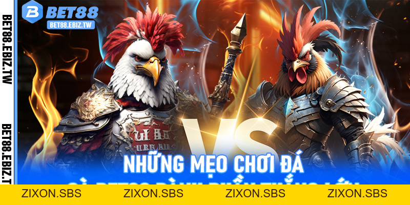 Đá gà Bet88 - Đấu trường bất bại, chất lượng hàng đầu Châu Á - bet88.ebiz.tw