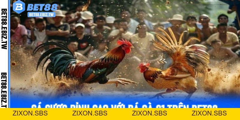 Cá Cược Đỉnh Cao Với Đá Gà C1 Trên Bet88 - Trải Nghiệm Không Thể Bỏ Lỡ - bet88.ebiz.tw