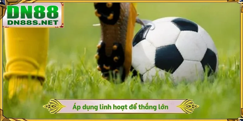 Nhận Định Bóng Đá - Dự Đoán Từ Chuyên Gia DN88 Thắng 80%