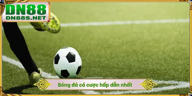 Thể Thao DN88 - Sân Chơi Cá Độ Thu Hút Hàng Vạn Cược Thủ