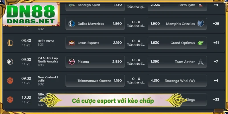Cá Cược Esport DN88 - Nền Tảng Giải Trí Thưởng X1000 Lần