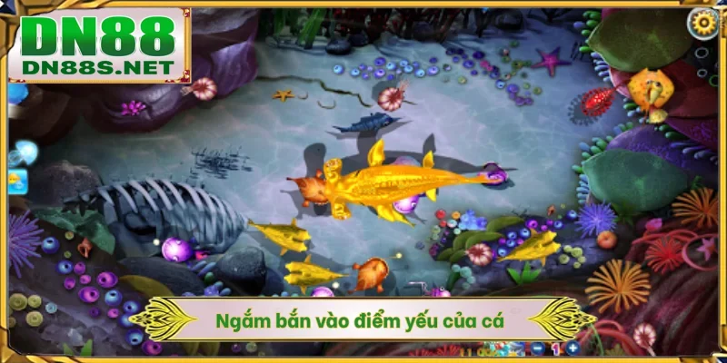 Cách Bắn Cá Băng Bi - 90% Dân Cược DN88 Áp Dụng Thành Công