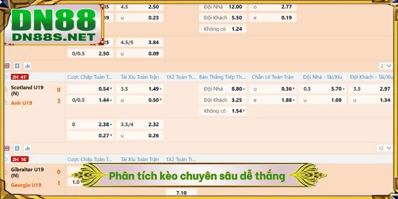Thể Thao DN88 - Sân Chơi Cá Độ Thu Hút Hàng Vạn Cược Thủ