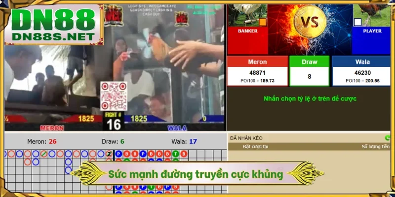 Đá Gà Trực Tiếp - DN88 Phát Sóng Live 4K Đảm Bảo Minh Bạch