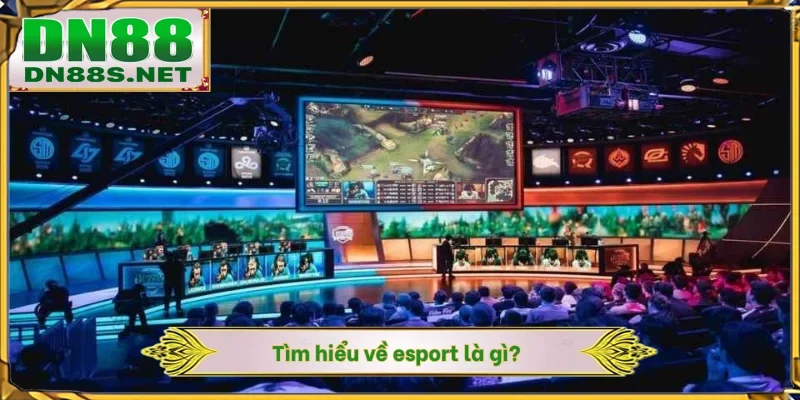 Esport Là Gì - Sức Hút Của Thị Trường 1.5 Tỷ USD Tại DN88
