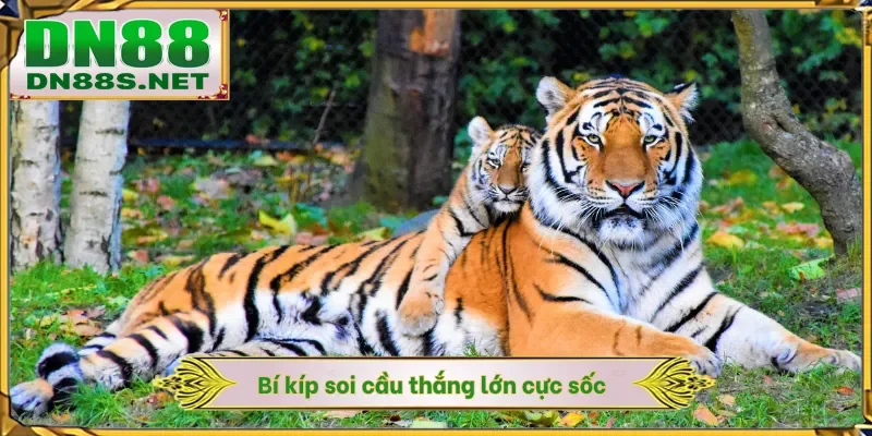 Mơ Thấy Hổ - Rước Lộc Với 99% Cơ Hội Thắng Tại Nhà Cái DN88