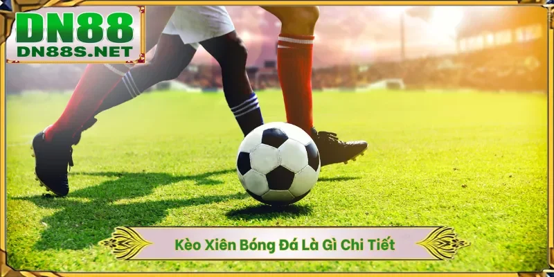 Thể Thao DN88 - Sân Chơi Cá Độ Thu Hút Hàng Vạn Cược Thủ