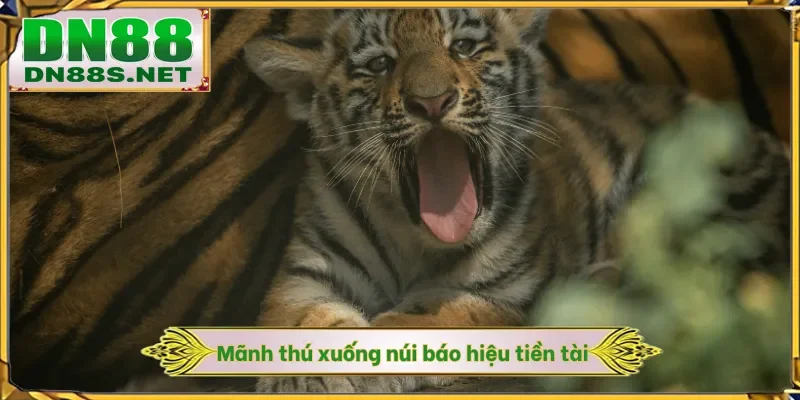Mơ Thấy Hổ - Rước Lộc Với 99% Cơ Hội Thắng Tại Nhà Cái DN88
