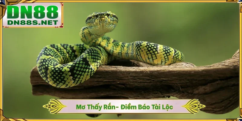 Xổ Số DN88 - Khám Phá Bí Mật Đằng Sau Cầu Lô Đề Đẹp Nhất
