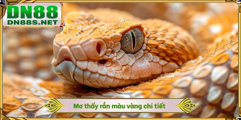 Mơ Thấy Rắn - Điềm Báo Tài Lộc Và Chốt Số Nhanh Tại DN88