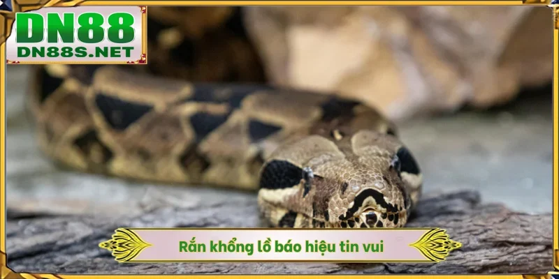 Mơ Thấy Rắn - Điềm Báo Tài Lộc Và Chốt Số Nhanh Tại DN88