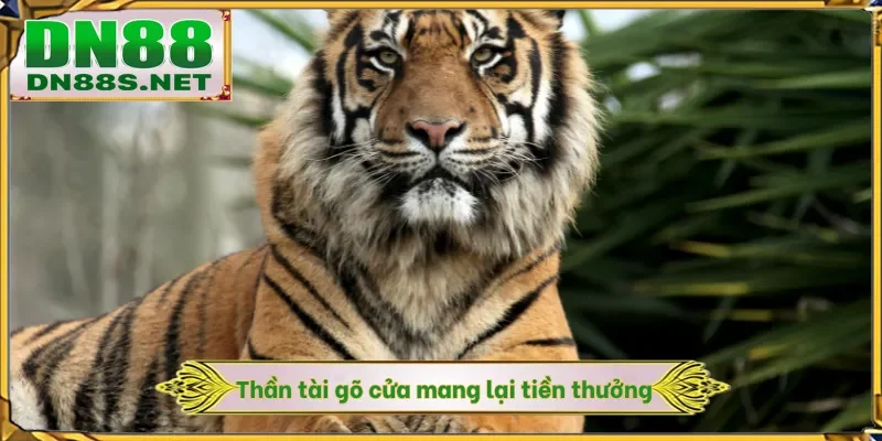 Mơ Thấy Hổ - Rước Lộc Với 99% Cơ Hội Thắng Tại Nhà Cái DN88