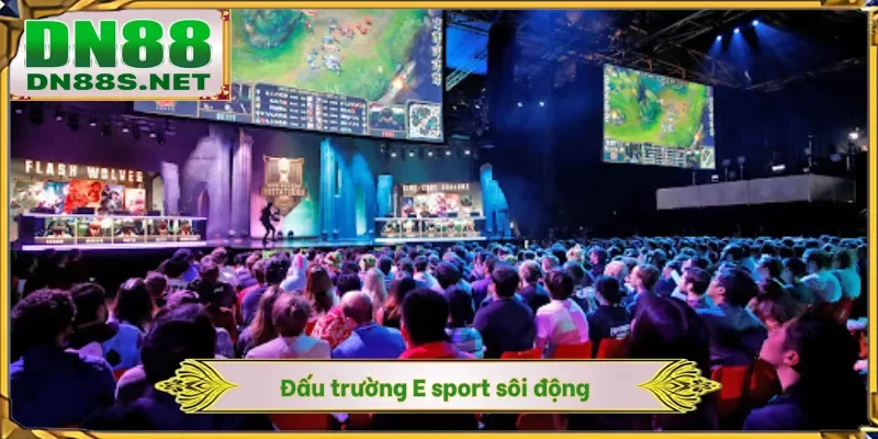 E Sport Có Phải Thể Thao Không - Bùng Nổ Sức Hút Tại DN88