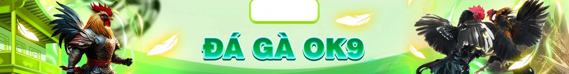 Đá gà OK9 - Sân Chơi Chiến Kê Biểu Diễn Sức Chọi Đỉnh Cao